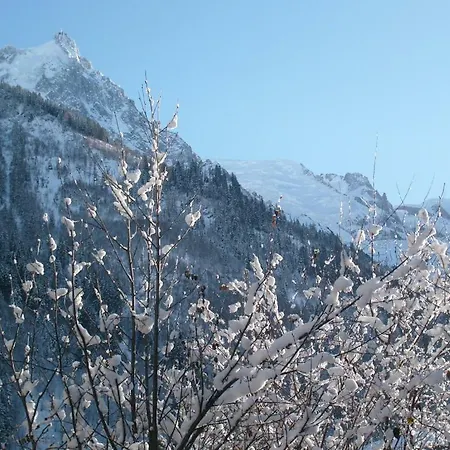 Appart 2 Pieces Centre Balcon Vue Mont Blanc Apartment